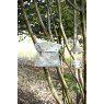 Sophie Allport Sara Miller 65 Today Birthday Greeting Card