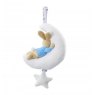 Night Night Musical Peter Rabbit