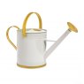 RHS Asteraceae Gift Planting Trowel & Dibber