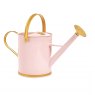 RHS Asteraceae Gift Planting Trowel & Dibber
