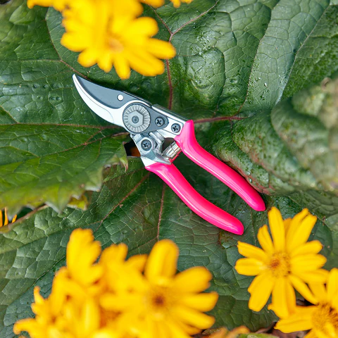 Burgon & Ball FloraBrite® Yellow / Pink Pocket Pruner